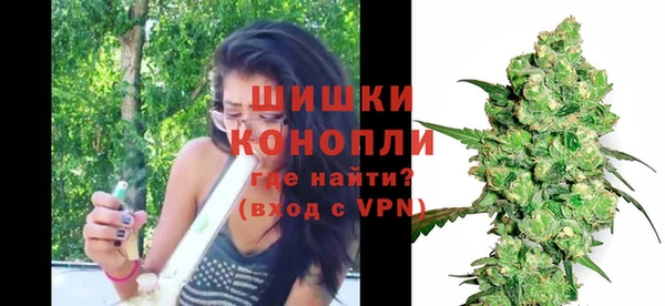 ПСИЛОЦИБИНОВЫЕ ГРИБЫ Белокуриха
