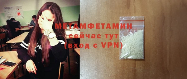 прущие грибы Покачи